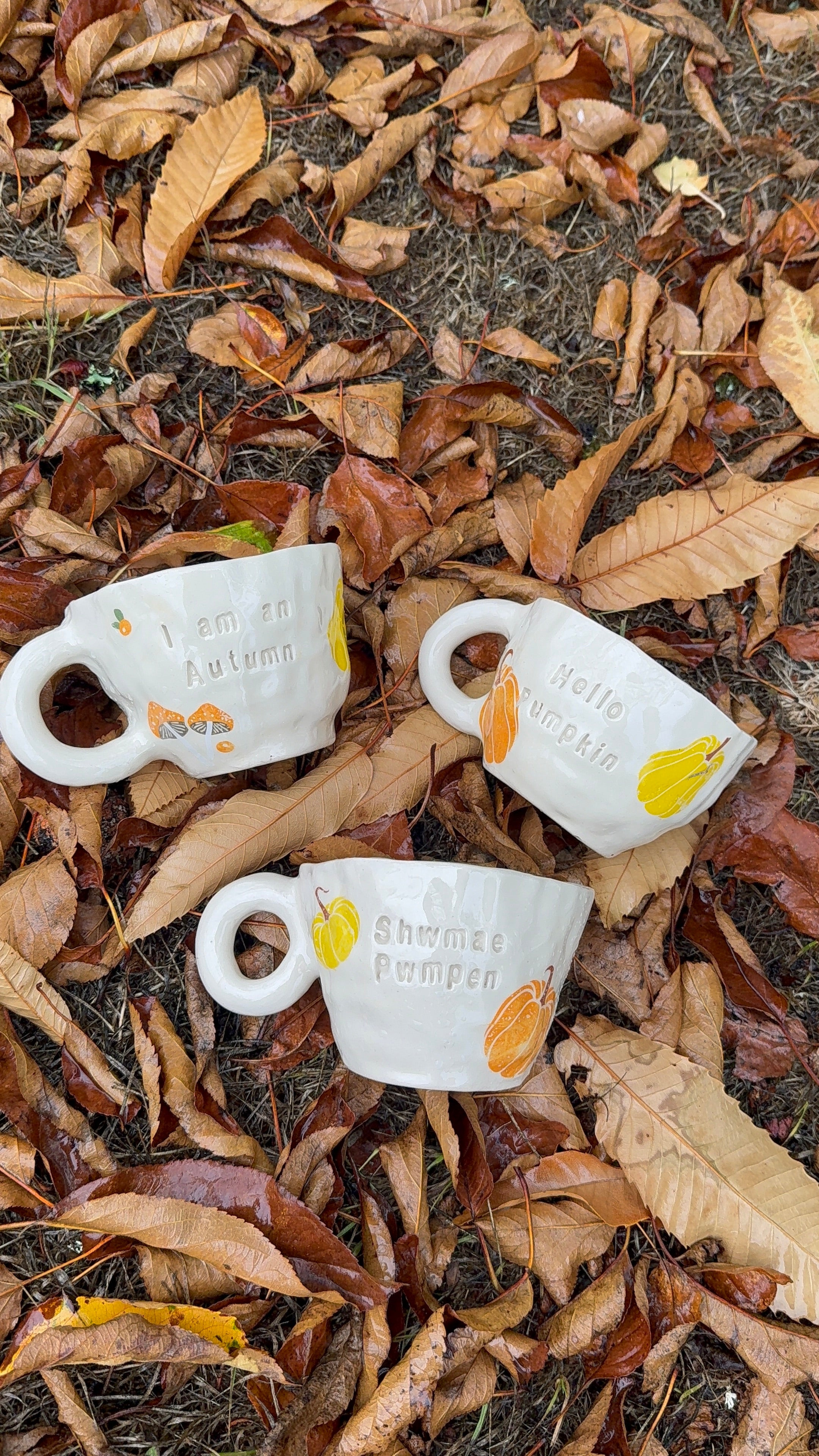 Autumn Mugs
